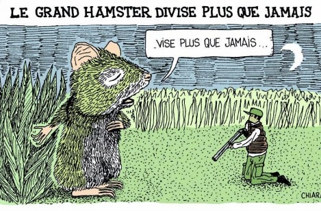 Mais au fait, ça se mange le grand hamster ?