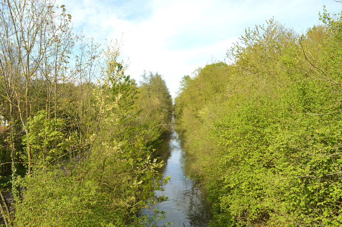 Un recours et une manifestation contre l’artificialisation du canal du Rhône au Rhin