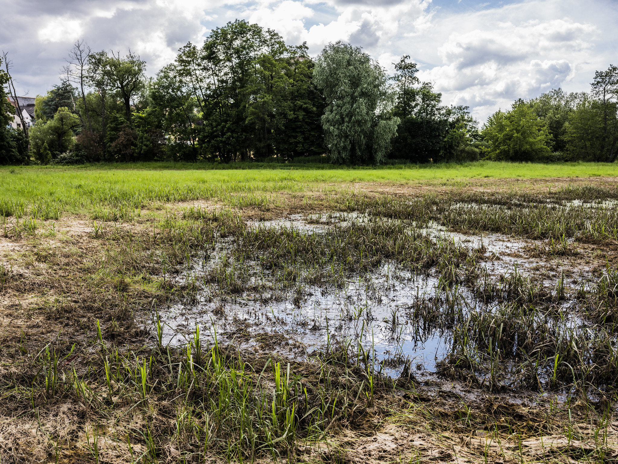 En Alsace, petits efforts face à la pollution de l’eau par les pesticides