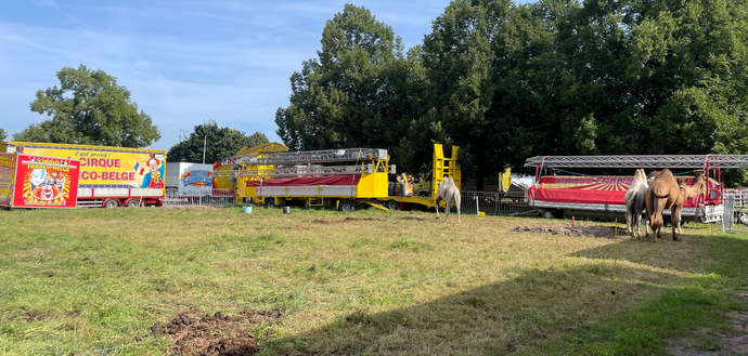 Un cirque s’installe à Cronenbourg sans autorisation