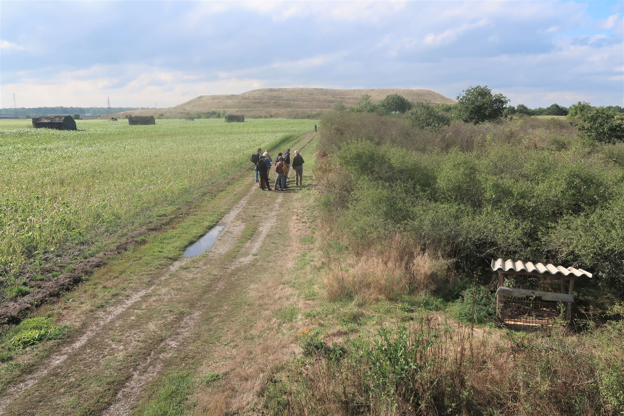 Un réservoir de biodiversité en partie rasé à Wittelsheim