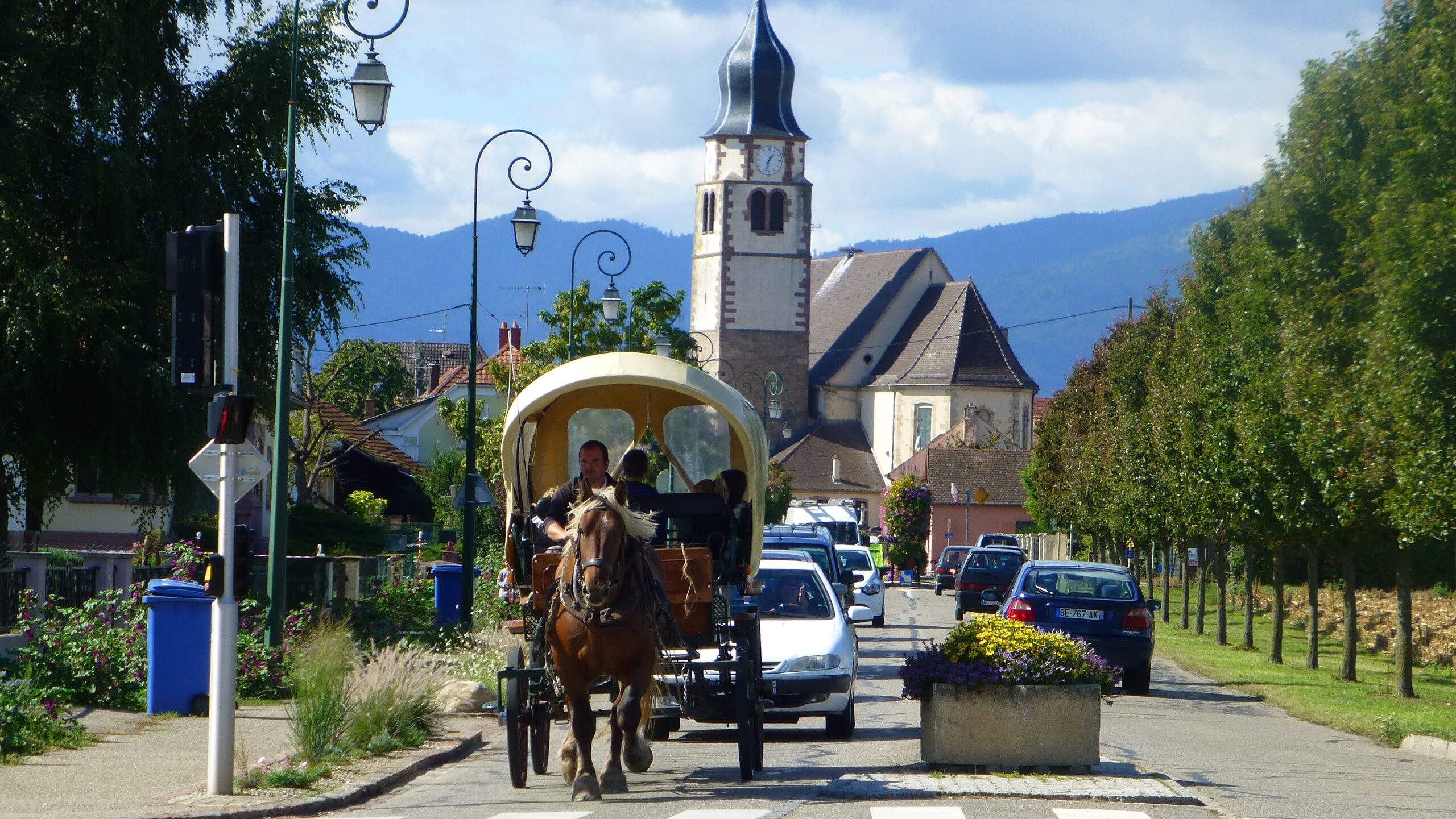 Une semaine pour la transition et la biodiversité à Ungersheim