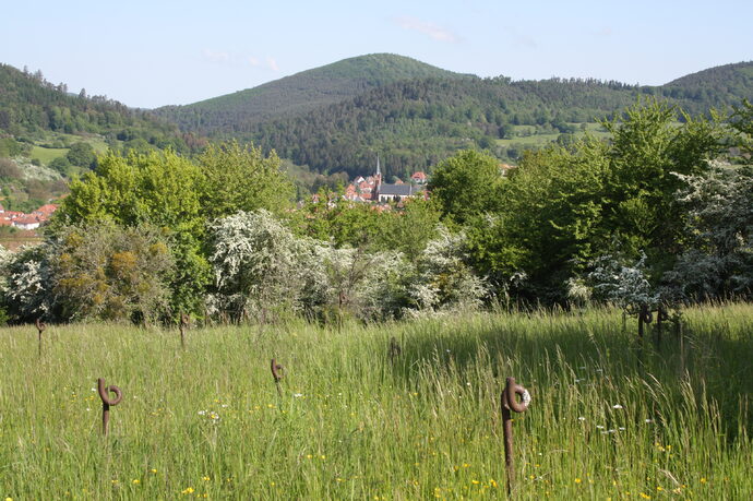 À Lembach, la mairie prête à sacrifier la biodiversité pour des panneaux solaires